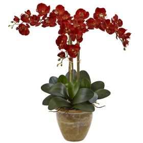 Seasonal Triple Phalaenopsis Orchid Arrangement Autumn