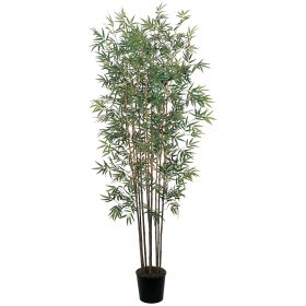 Mini Bamboo Tree x 10 w/2520 Lvs