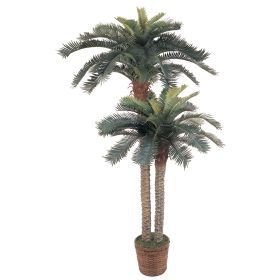Double Potted Sago Palm Silk Tree