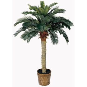 Sago Palm Tree w/28 Lvs