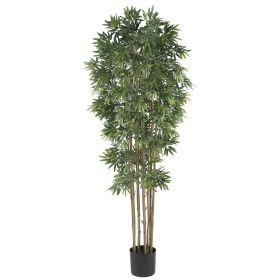 Bamboo Japanica Tree w/3200 Lvs Natural