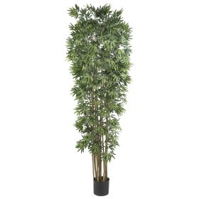 Bamboo Japanica Tree x 12 w/4100 Lvs Natural