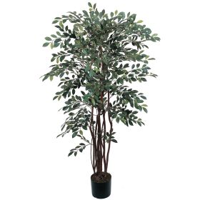Ruscus Tree w/1461 Lvs
