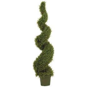 Rosemary Spiral Tree w/2184 Lvs