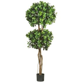 Eucalyptus Double Ball Topiary Tree w/1989 Lvs