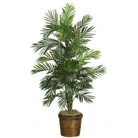 Areca Tree w/Basket