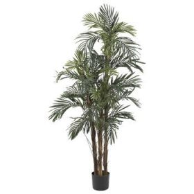 Robellini Palm Tree w/30 Lvs
