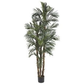 Robellini Palm Tree w/38 Lvs