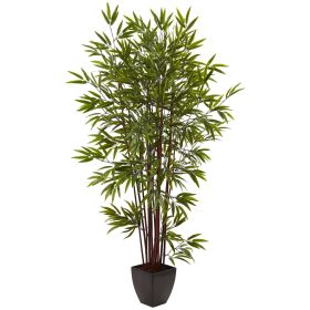 Bamboo Tree x 15 w/Planter