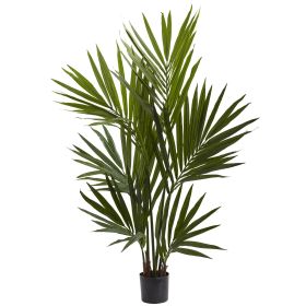 Kentia Palm Tree x 6 w/104 Lvs