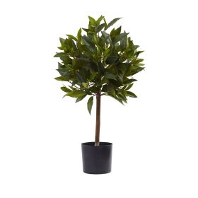 Sweet Bay Mini Ball Topiary w/259 Lvs
