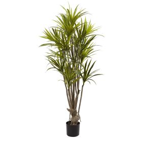 Dracaena Tree w/393 Lvs