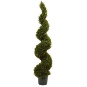 Rosemary Spiral Tree (Indoor/Outdoor)
