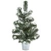 Snowy Pine Tree with Tin (Set of 2)