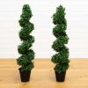 Boxwood Spiral Topiary with Planter (Indoor/Outdoor)
