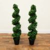 Boxwood Spiral Topiary with Planter (Indoor/Outdoor)