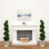 Boxwood Spiral Topiary with Planter (Indoor/Outdoor)