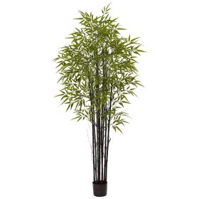 Black Bamboo Tree UV Resistant (Indoor/Outdoor)