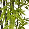 Black Bamboo Tree UV Resistant (Indoor/Outdoor)