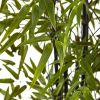 Black Bamboo Tree UV Resistant (Indoor/Outdoor)