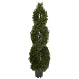 Pond Cypress Topiary UV Rest w/1702 Lvs (Indoor/Outdoor)