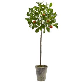 Potted Orange Tree